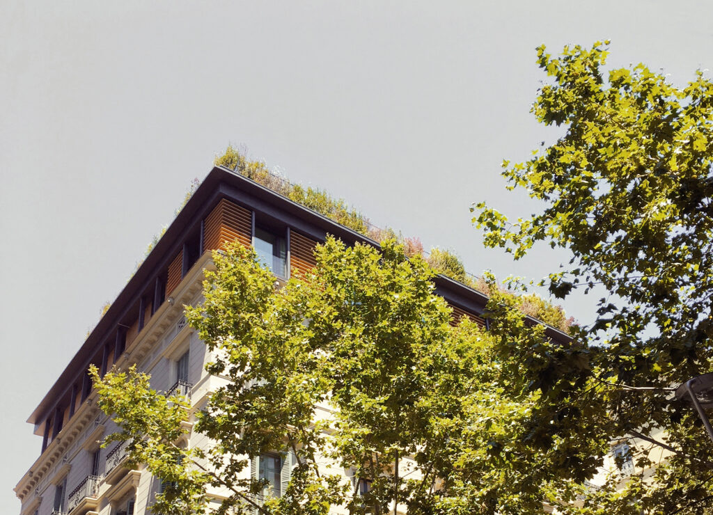 VerveineAtelierSL_P_V247_Carrussel-01