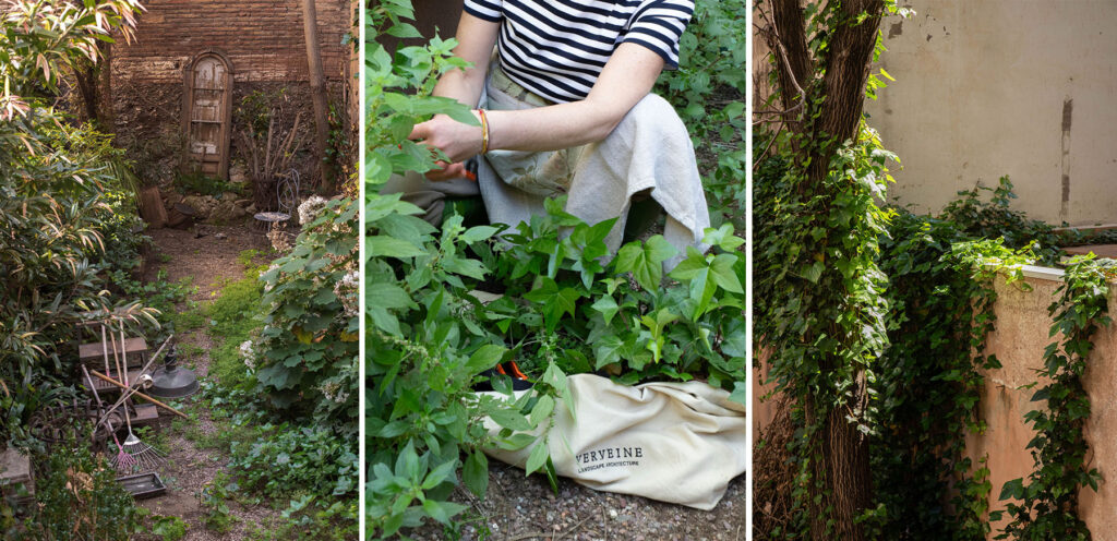 La Petite de Verveine Landscape Architecture